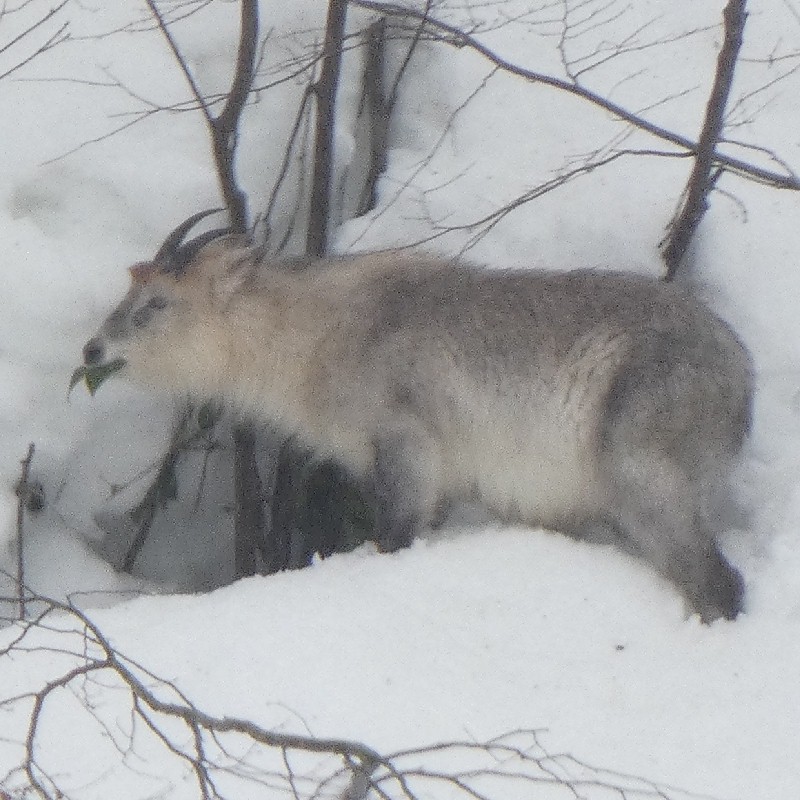 �j�z���J���V�J