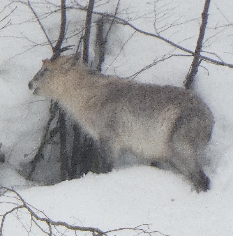 �j�z���J���V�J