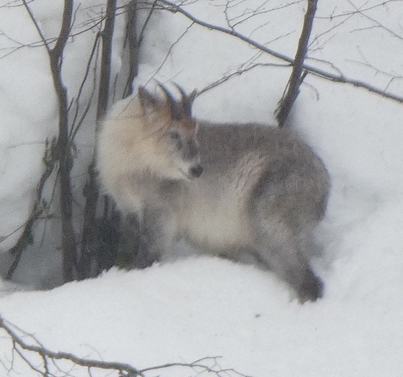 �j�z���J���V�J