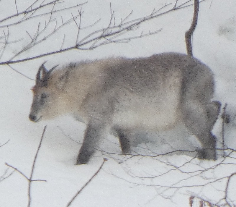 �j�z���J���V�J