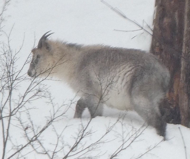 �j�z���J���V�J