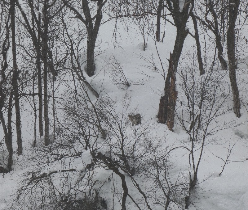 �j�z���J���V�J