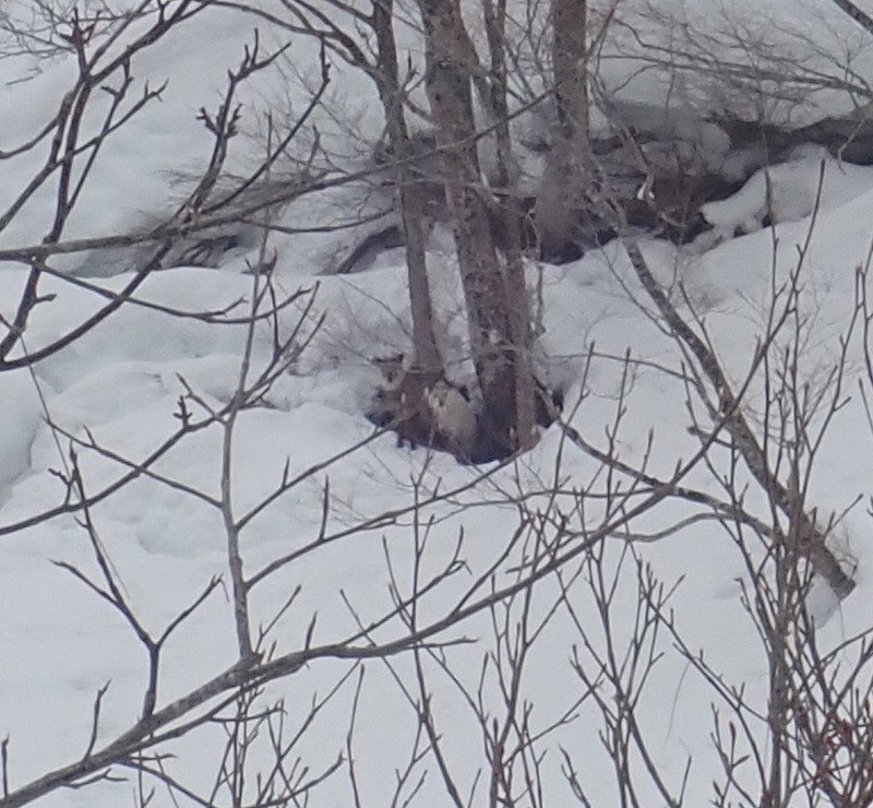 �j�z���J���V�J