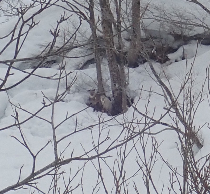 �j�z���J���V�J