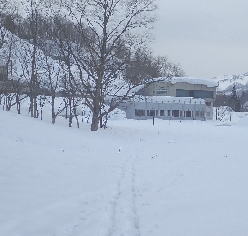 �z�e���厩�R��