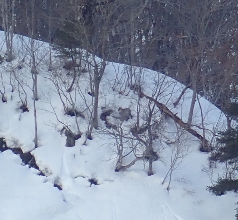 �j�z���J���V�J