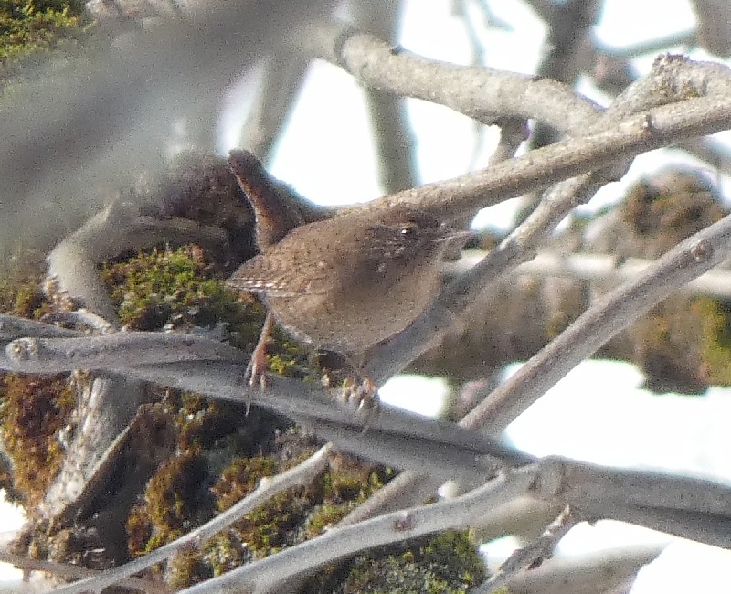 �~�\�T�U�C