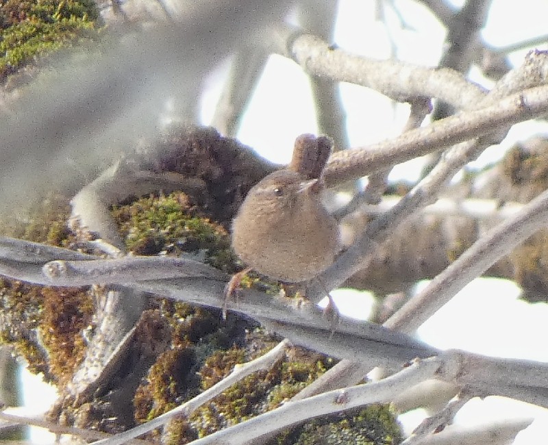 �~�\�T�U�C