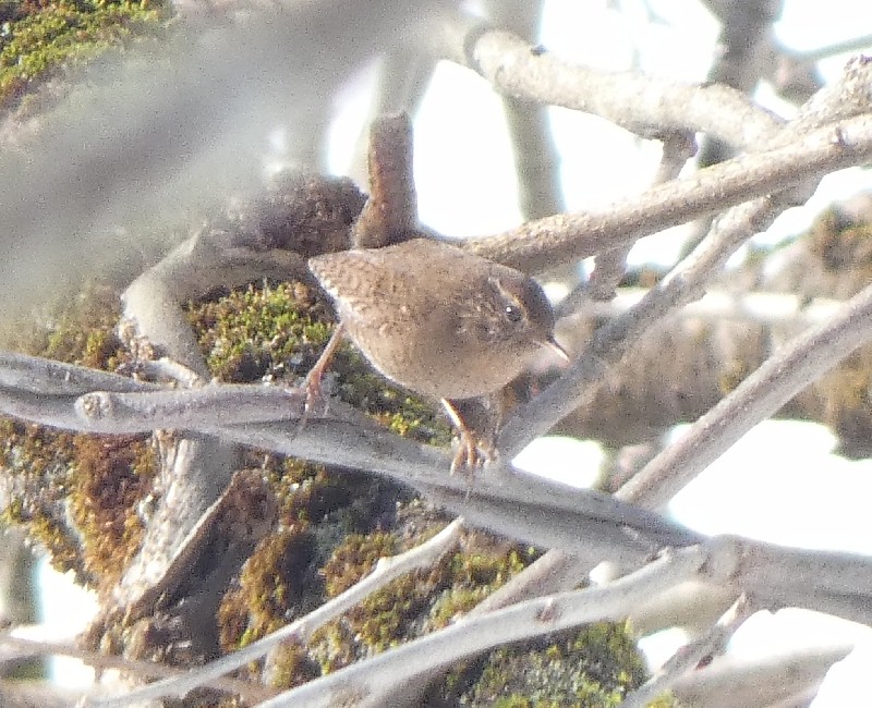 �~�\�T�U�C