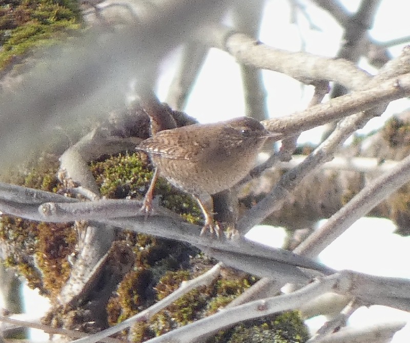 �~�\�T�U�C