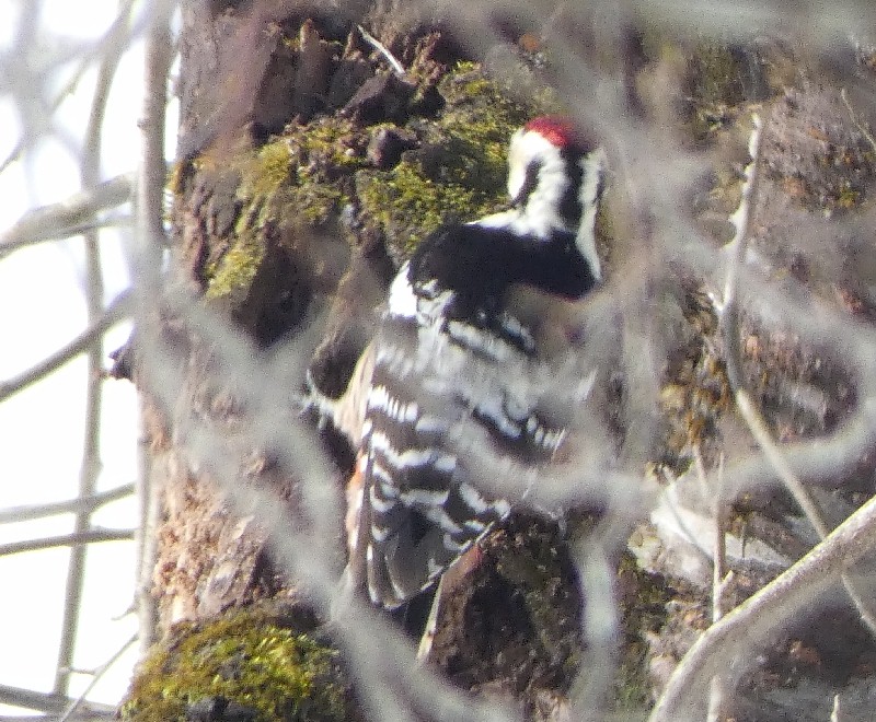 �I�I�A�J�Q��