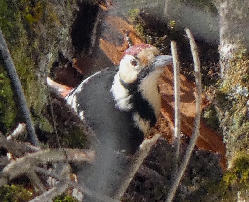 �I�I�A�J�Q��