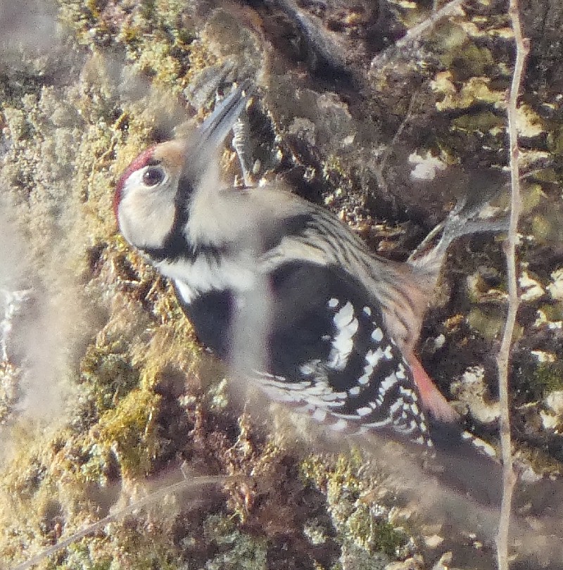 �I�I�A�J�Q��