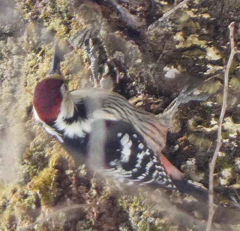 �I�I�A�J�Q��