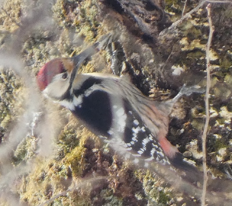 �I�I�A�J�Q��