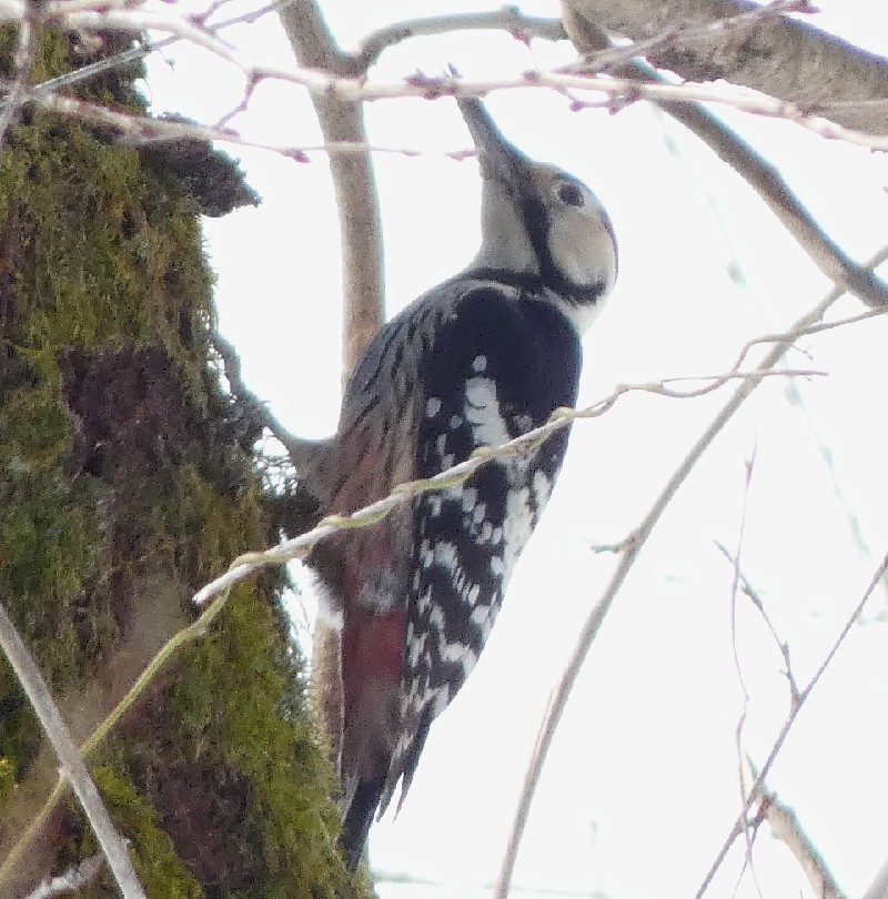 �I�I�A�J�Q��