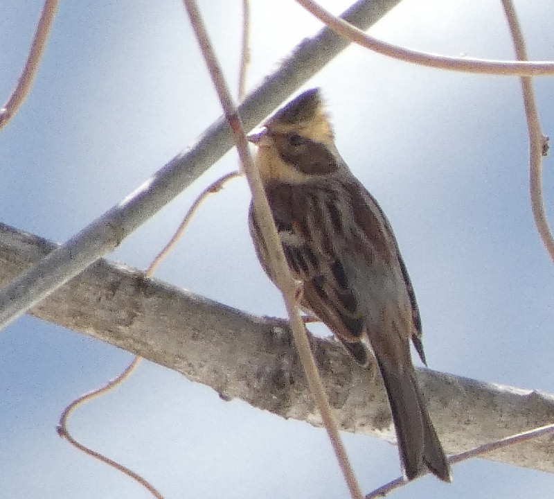 �~���}�z�I�W��