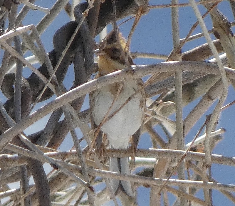 �~���}�z�I�W��