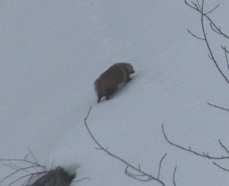 �j�z���A�i�O�}