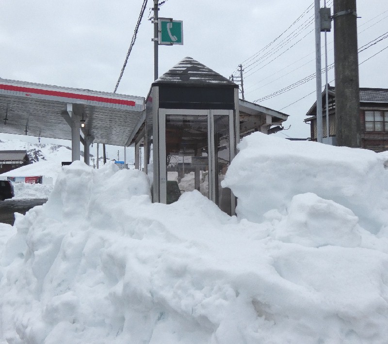 �d�b�{�b�N�X