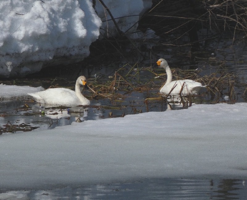 �R�n�N�`���E