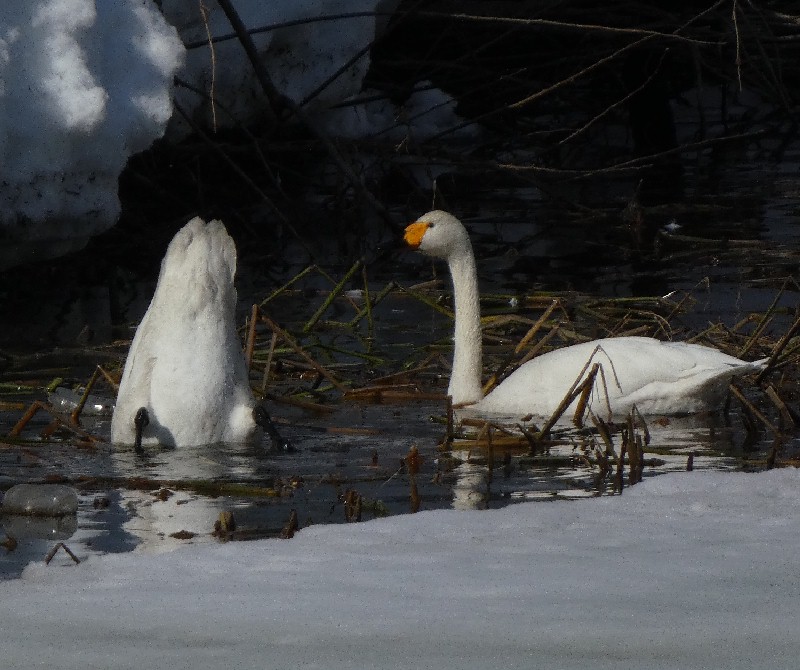 �R�n�N�`���E