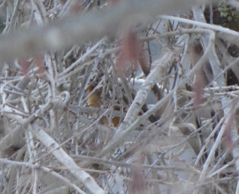 �K�r�`���E