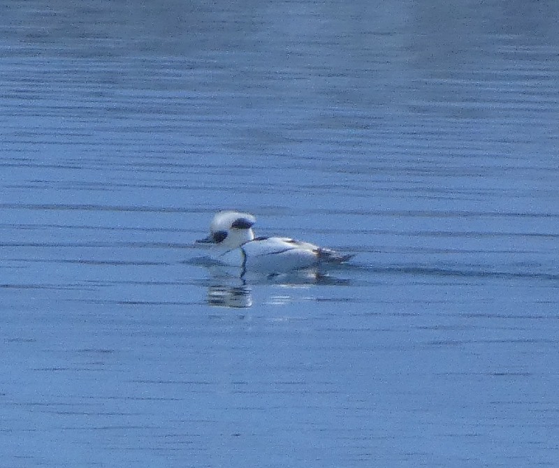 �~�R�A�C�T