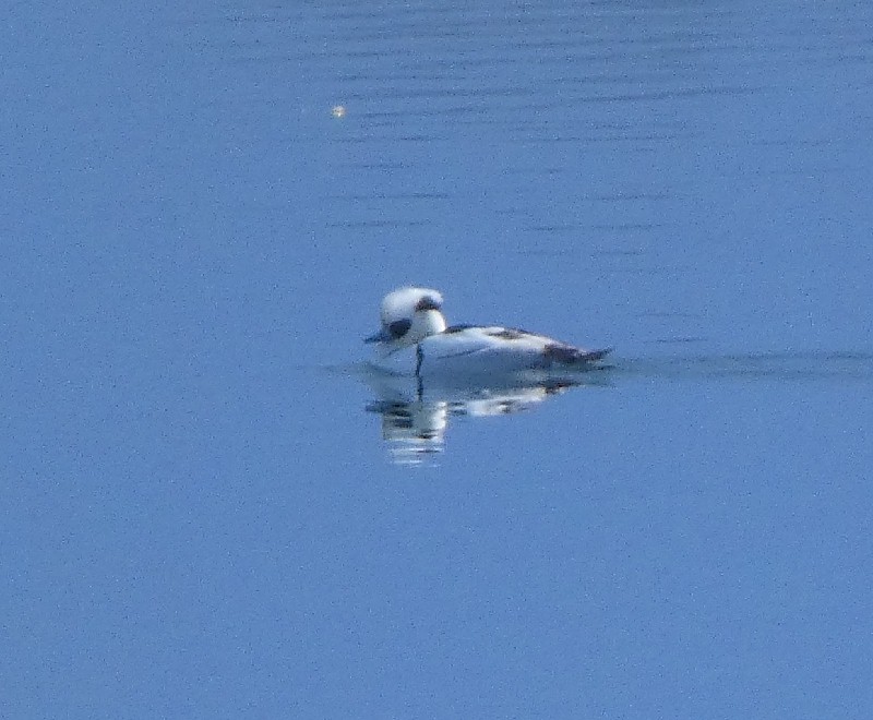 �~�R�A�C�T