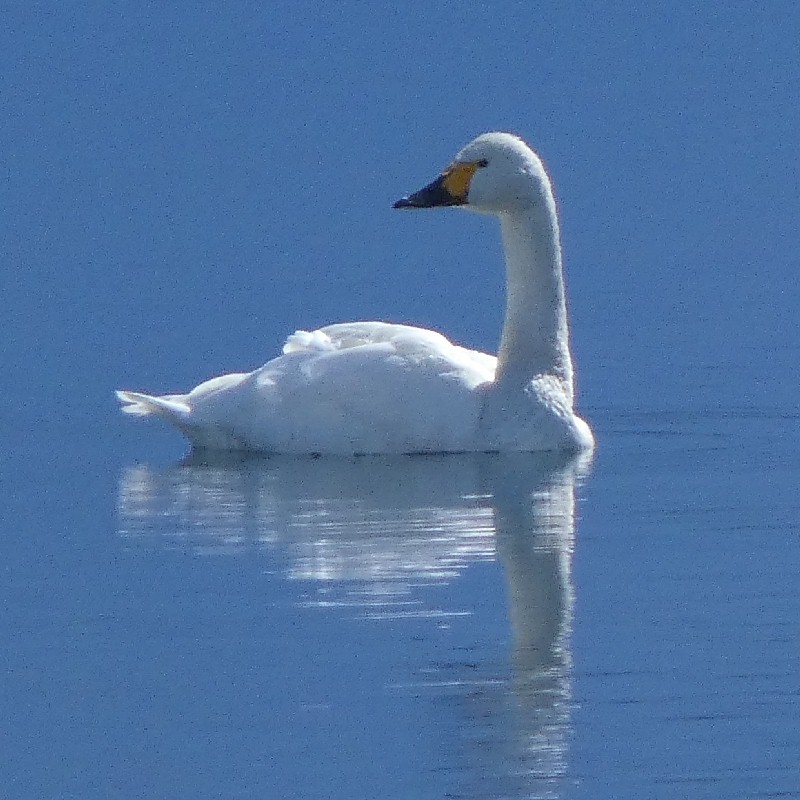 �R�n�N�`���E