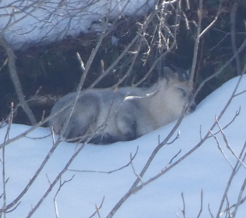 �j�z���J���V�J