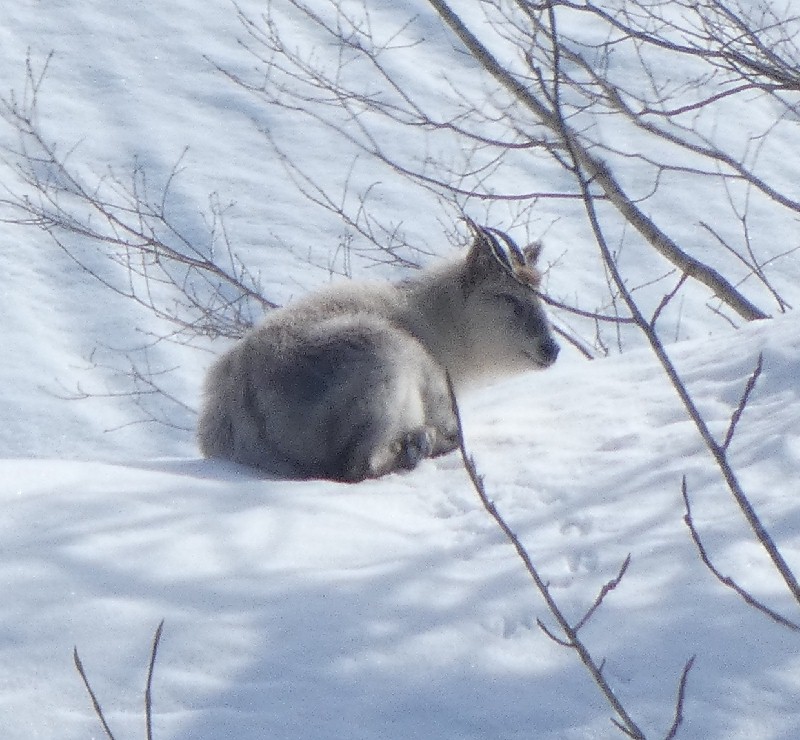 �j�z���J���V�J