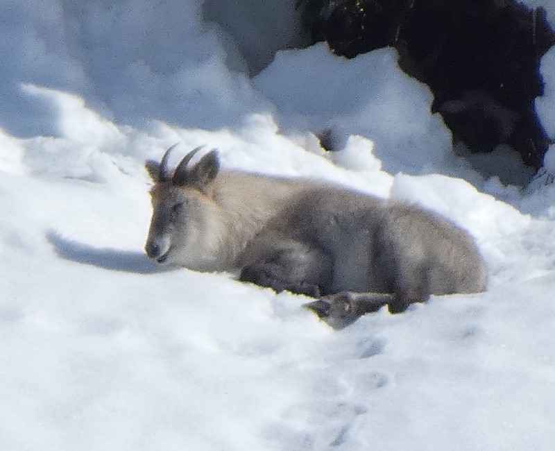 �j�z���J���V�J