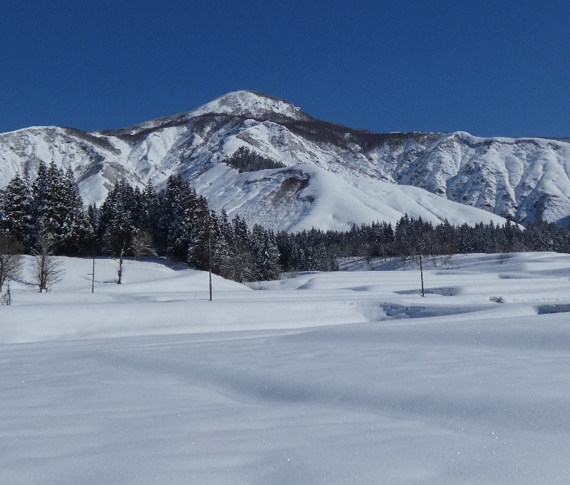 ���������R