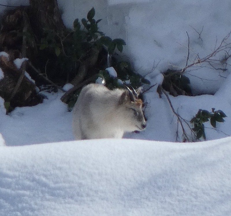 �j�z���J���V�J