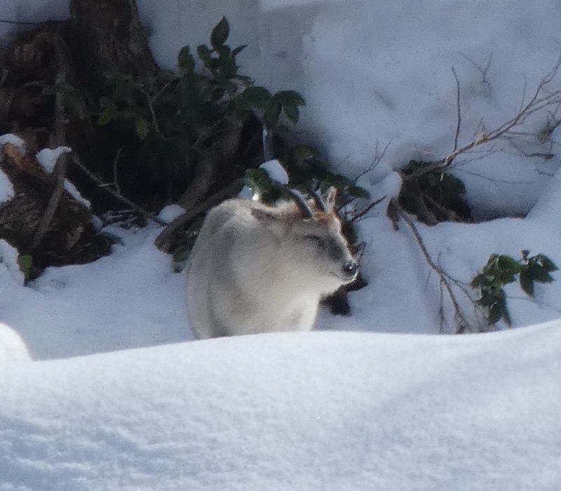 �j�z���J���V�J