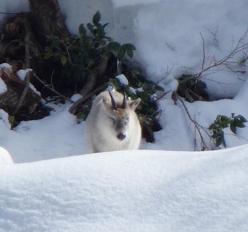 �j�z���J���V�J