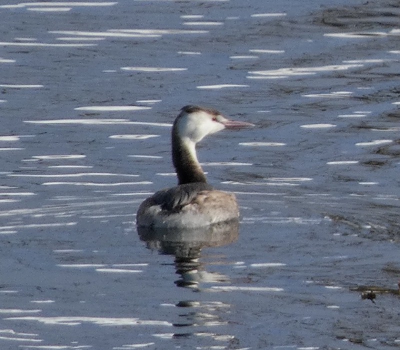 �J�������J�C�c�u��