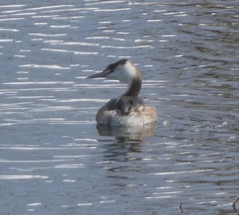 �J�������J�C�c�u��