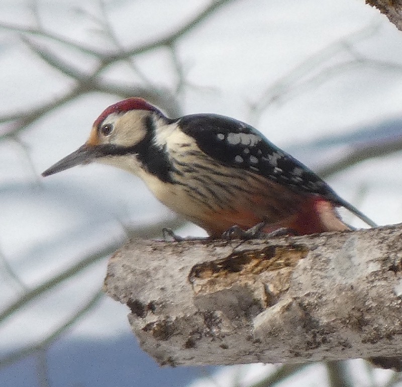 �I�I�A�J�Q��