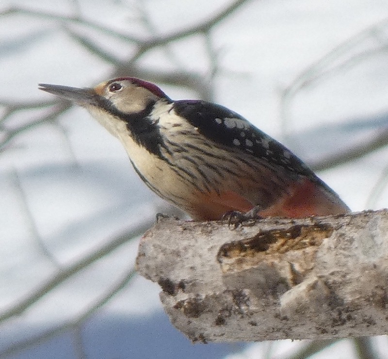 �I�I�A�J�Q��