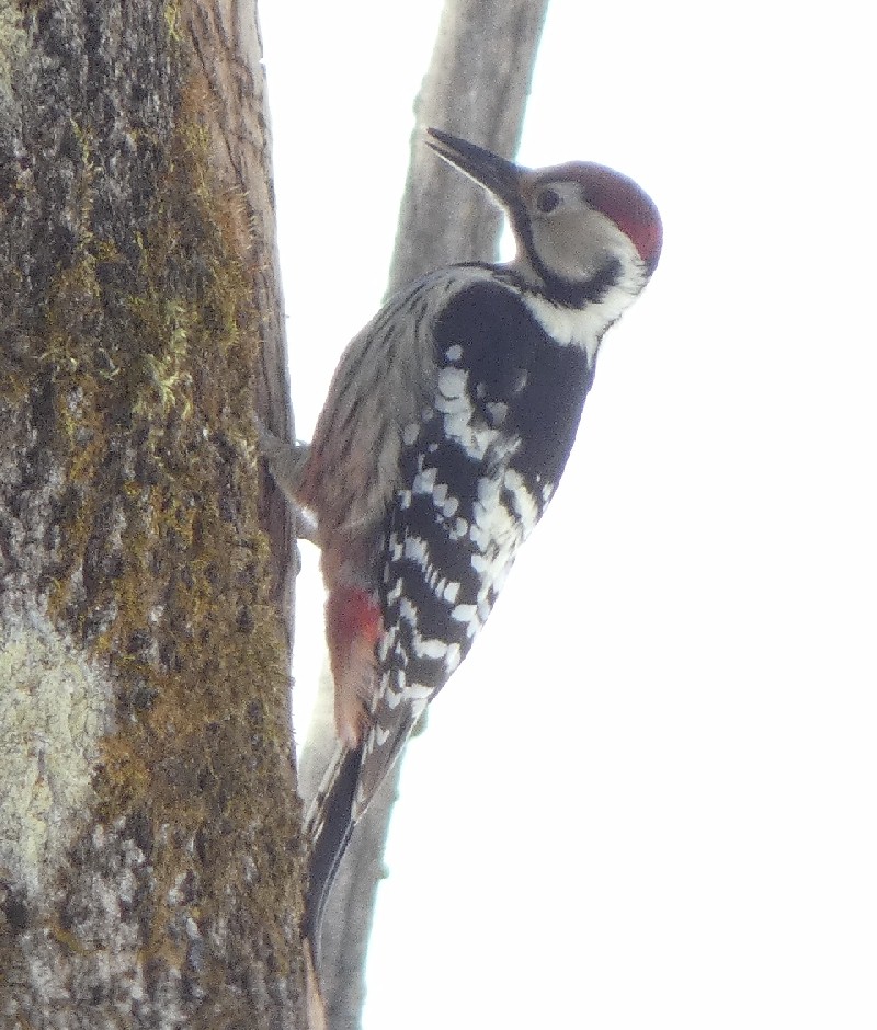 �I�I�A�J�Q��