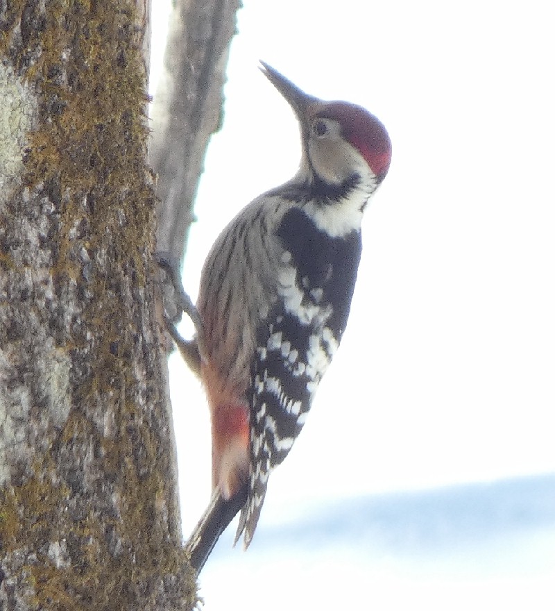 �I�I�A�J�Q��