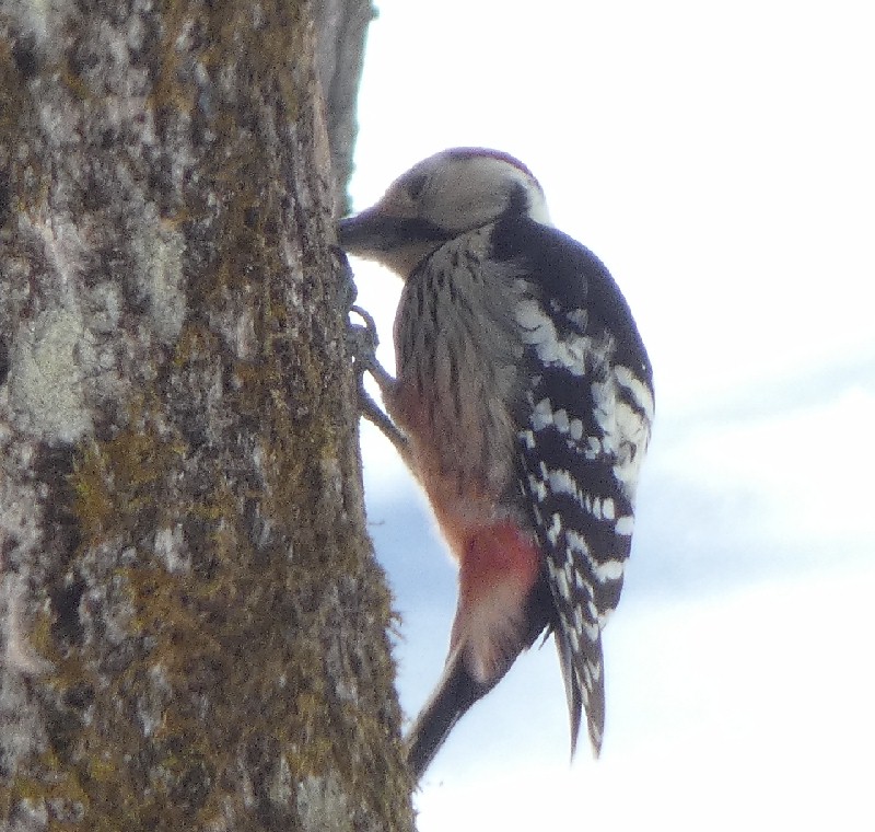 �I�I�A�J�Q��