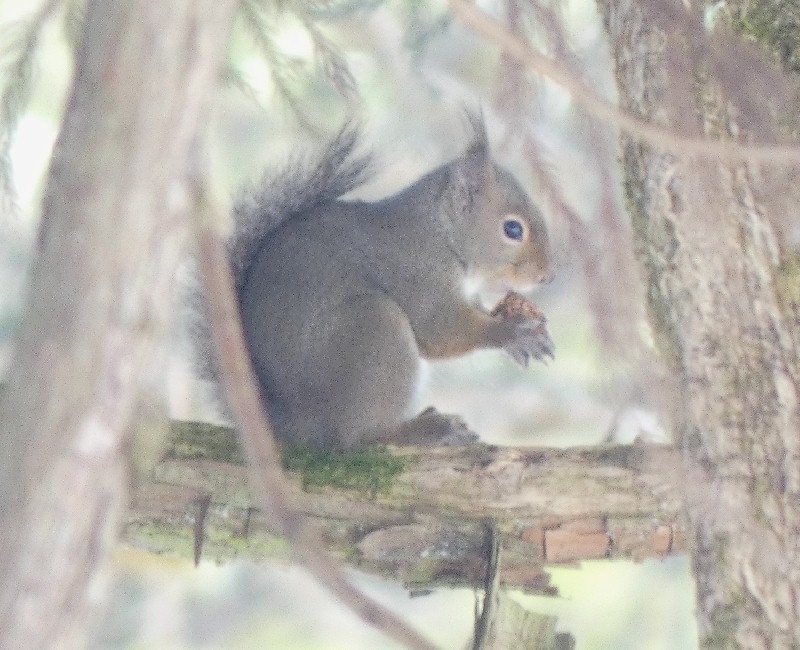 �j�z�����X