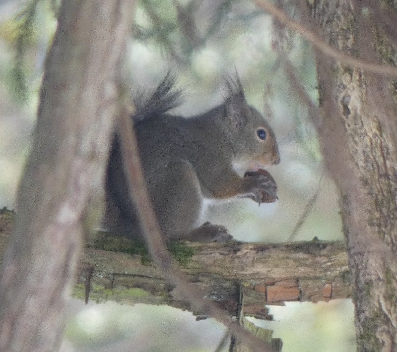 �j�z�����X