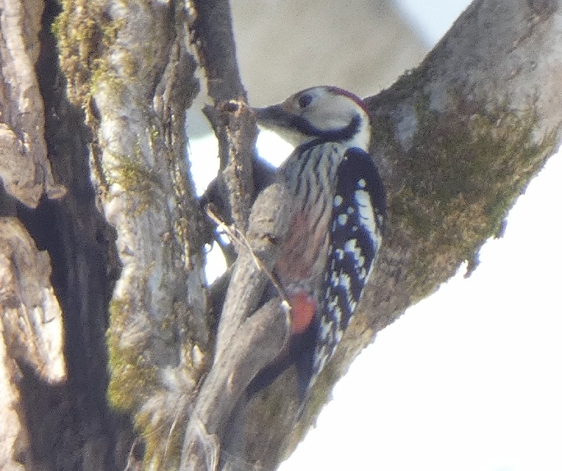 �I�I�A�J�Q��