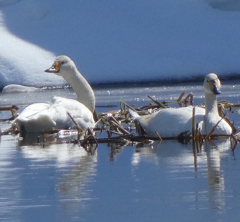 �R�n�N�`���E