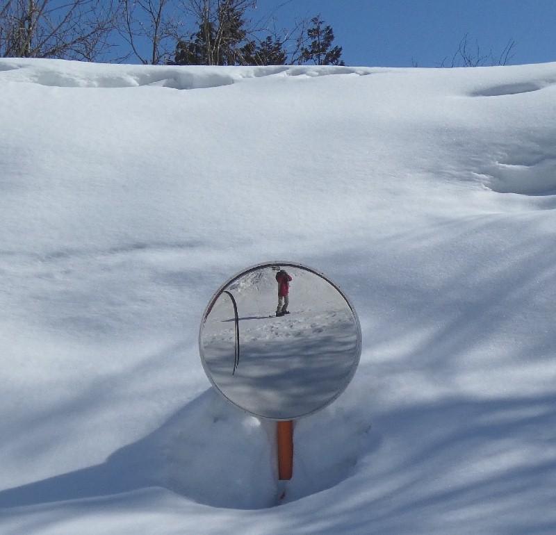 �J�[�u�~���[