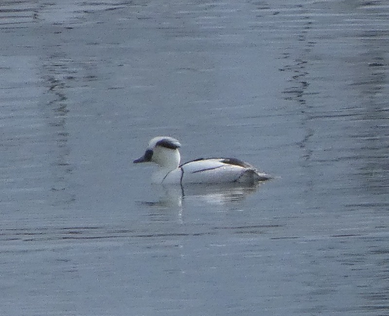 �~�R�A�C�T